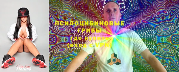 дмт Мегион
