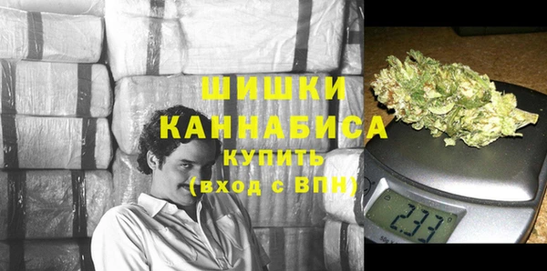 дмт Мегион