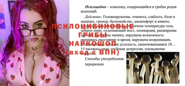 МДПВ Медвежьегорск