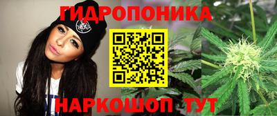 индика Нягань