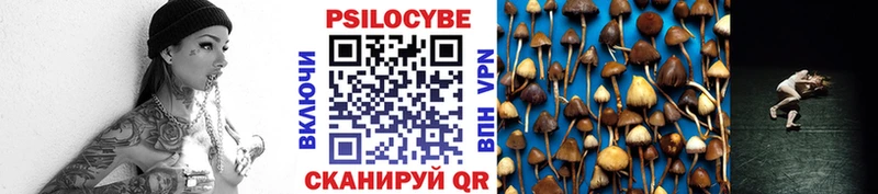 Псилоцибиновые грибы Psilocybe  наркотики  Фурманов 