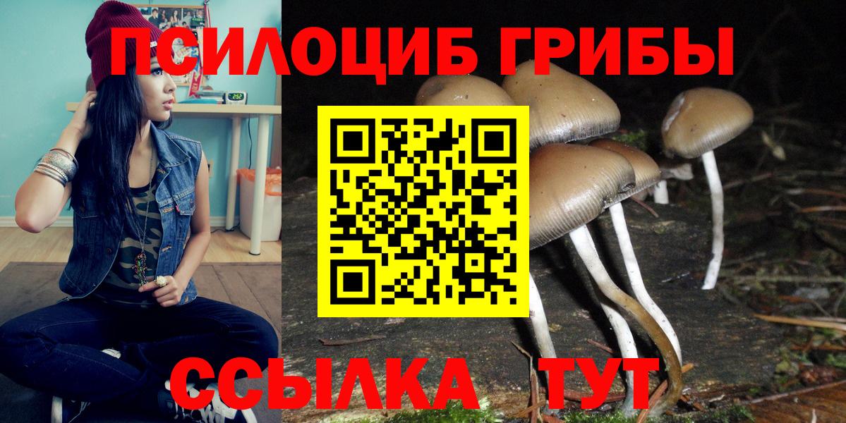 Псилоцибиновые грибы Psilocybe Фурманов