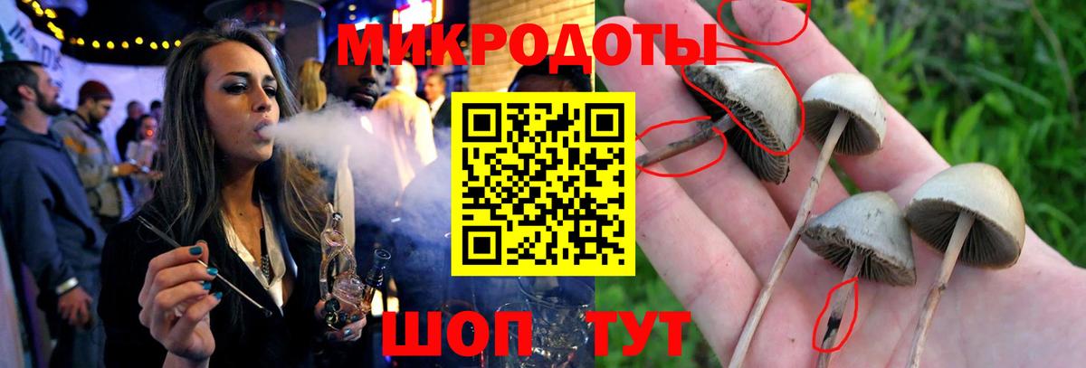 Фурманов  Галлюциногенные грибы прущие грибы  дарнет шоп  Вход с VPN 