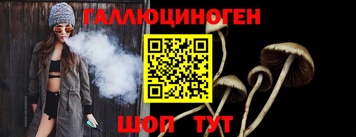 Псилоцибиновые грибы Psilocybe  Фурманов  Галлюциногенные грибы GOLDEN TEACHER 